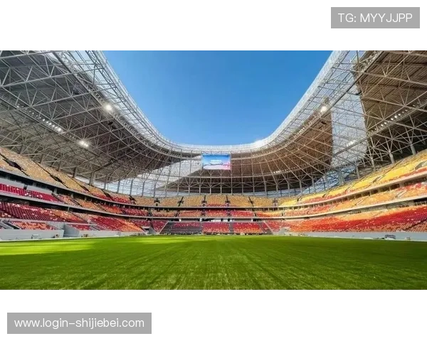 世界杯足球赛举办地选择标准及对城市发展的积极影响